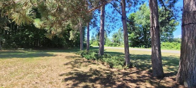 1869 Monroe Rd, Hart, MI 49420 - photo 6