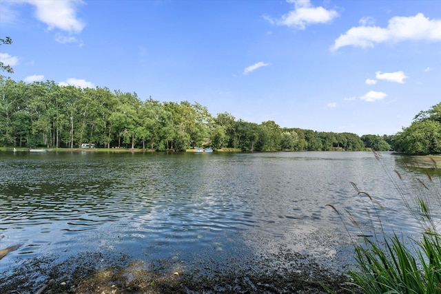 1695 Signal Point Dr, Niles, MI 49120 - photo 49