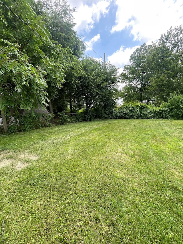 11795 Syracuse St, Taylor, MI 48180 - photo 6