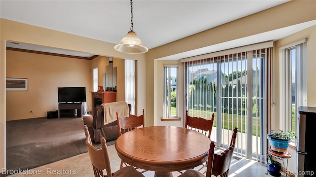28394 Gamble Rd, Chesterfield, MI 48047 - photo 10