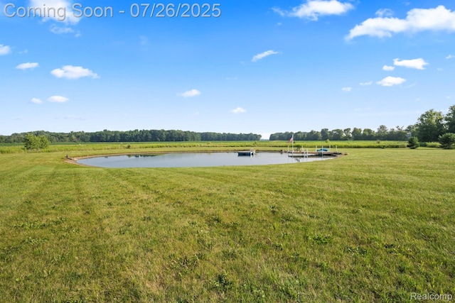 6225 Grand Blanc Rd, Swartz Creek, MI 48473 - photo 59