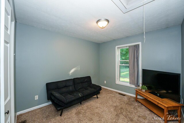 12513 Mcmurty Dr NE, Sand Lake, MI 49343 - photo 12