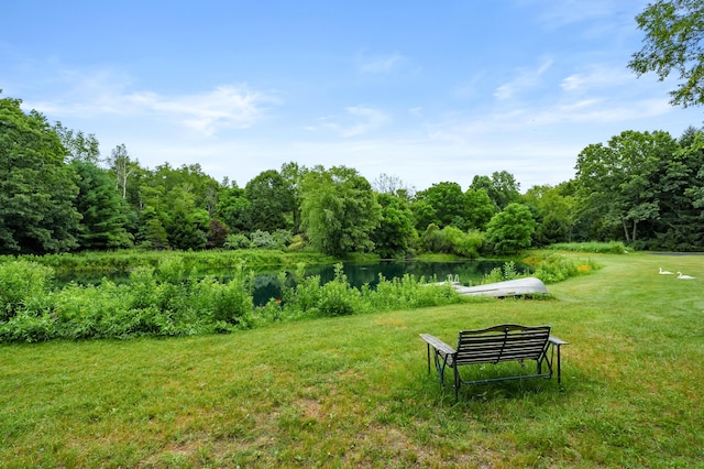 31664 Fish Hatchery Rd, Kalamazoo, MI 49009 - photo 43