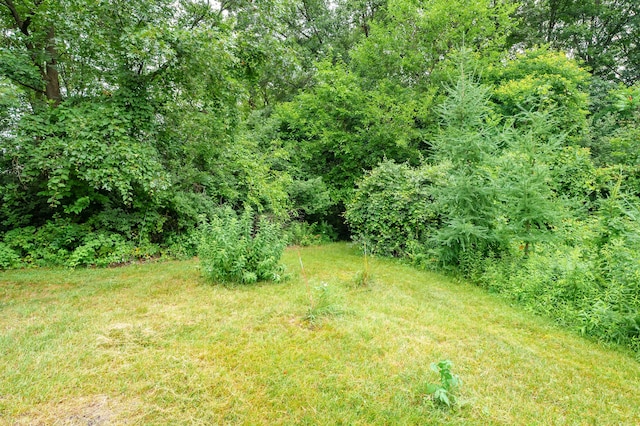 31664 Fish Hatchery Rd, Kalamazoo, MI 49009 - photo 44