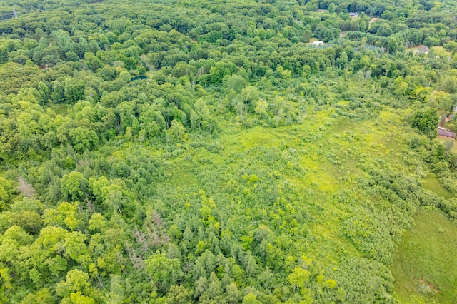31664 Fish Hatchery Rd, Kalamazoo, MI 49009 - photo 50