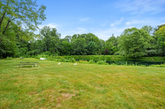 31664 Fish Hatchery Rd, Kalamazoo, MI 49009 - photo 53