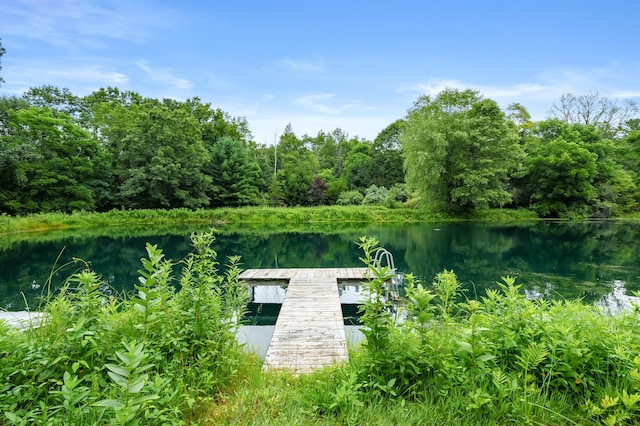 31664 Fish Hatchery Rd, Kalamazoo, MI 49009 - photo 54