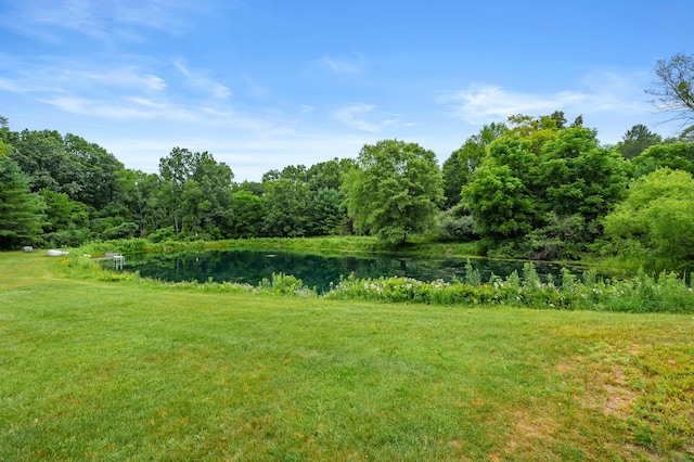 31664 Fish Hatchery Rd, Kalamazoo, MI 49009 - photo 57