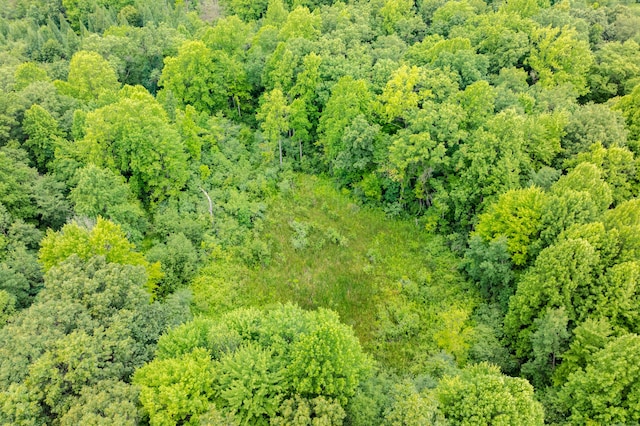 31664 Fish Hatchery Rd, Kalamazoo, MI 49009 - photo 58
