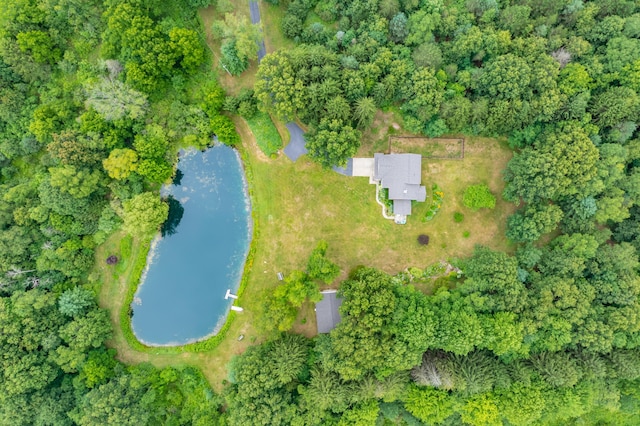 31664 Fish Hatchery Rd, Kalamazoo, MI 49009 - photo 59