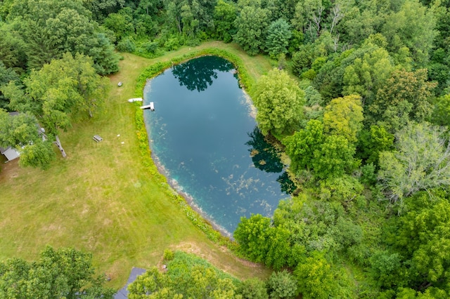 31664 Fish Hatchery Rd, Kalamazoo, MI 49009 - photo 67