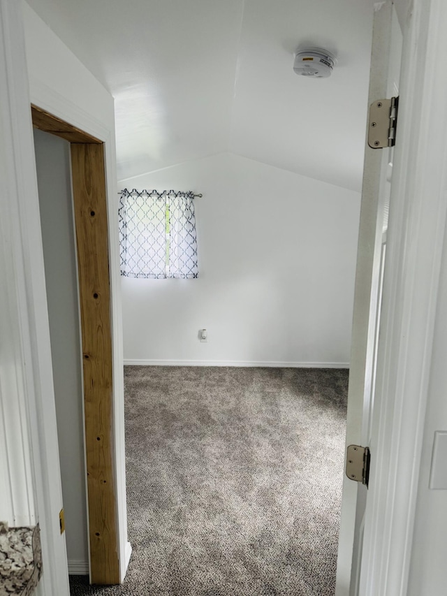 10 Hooker St, Coldwater, MI 49036 - photo 19