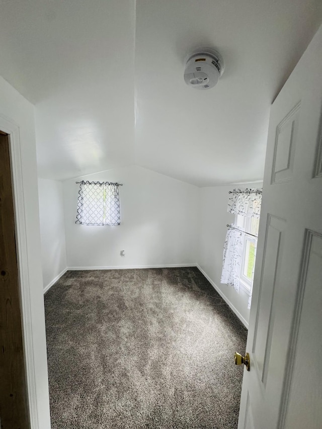 10 Hooker St, Coldwater, MI 49036 - photo 21