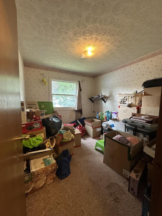 519 Faircrest Ave NW, Walker, MI 49534 - photo 9