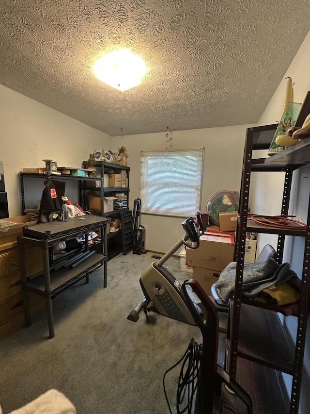 519 Faircrest Ave NW, Walker, MI 49534 - photo 10