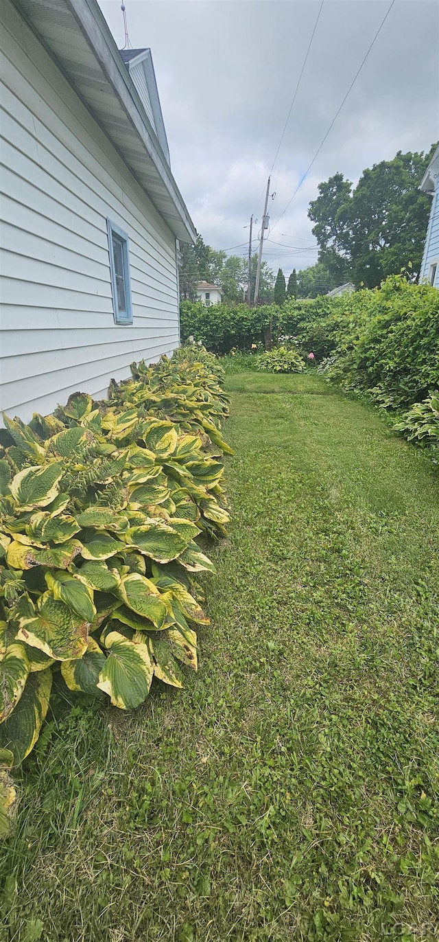298 E Chicago Blvd, Britton, MI 49229 - photo 9