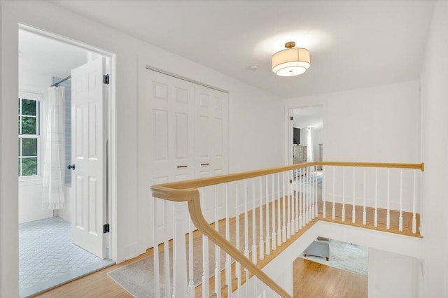 431 N Cranbrook Rd, Bloomfield Hills, MI 48301 - photo 29
