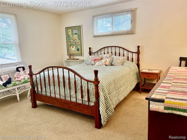 35090 Munger Dr, Livonia, MI 48154 - photo 24