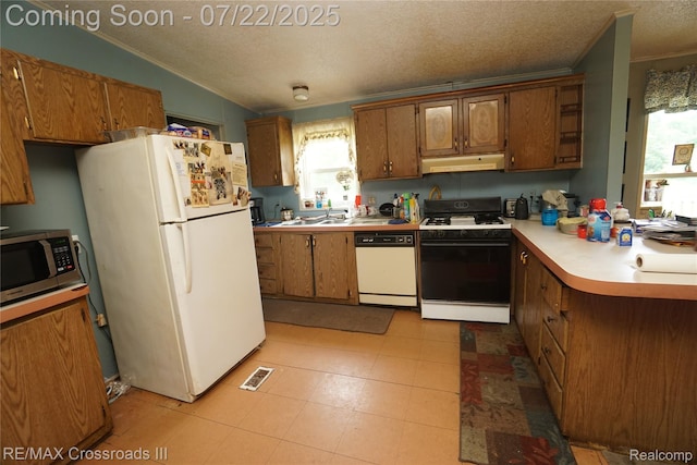 51105 Arkona Rd, Belleville, MI 48111 - photo 2