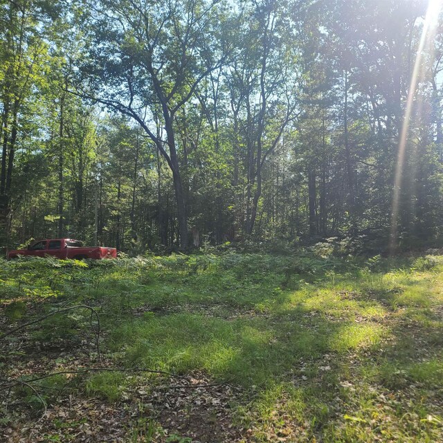 0000 NE Bailey Rd, Kalkaska, MI 49646 - photo 1