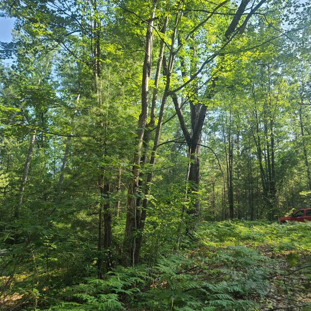 0000 NE Bailey Rd, Kalkaska, MI 49646 - photo 2