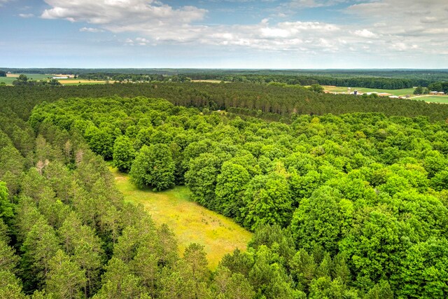 00 Blackman Rd, Kingsley, MI 49649 - photo 13