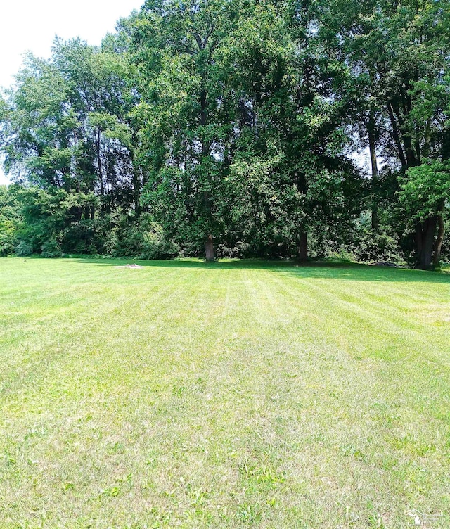 13156 Strasburg Rd, La Salle, MI 48145 - photo 6