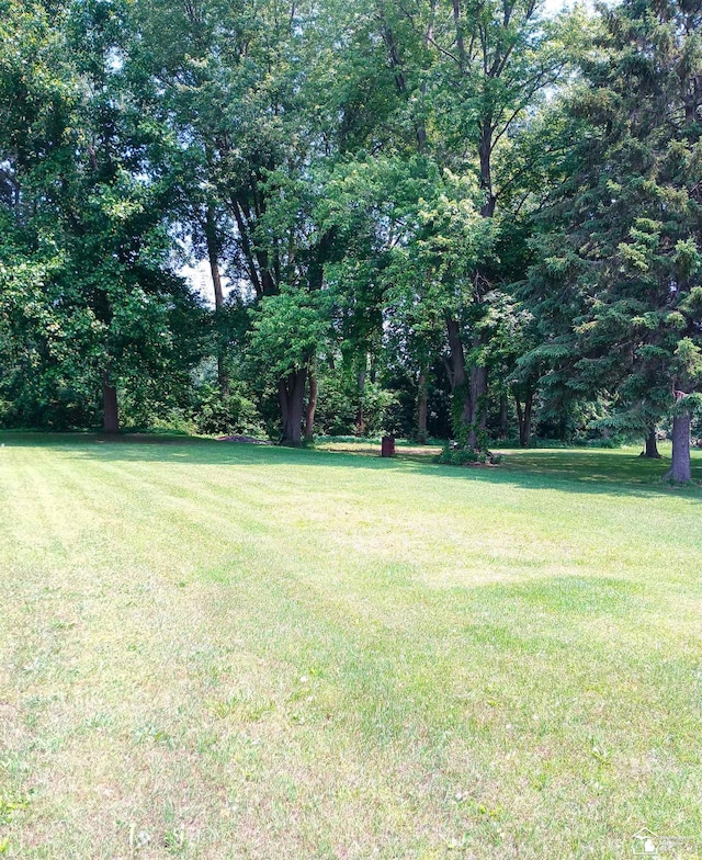 13156 Strasburg Rd, La Salle, MI 48145 - photo 7