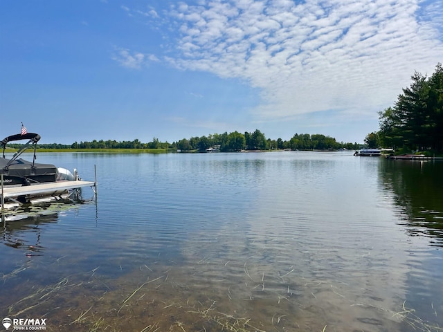 4826 Lancelot Ct, Gladwin, MI 48624 - photo 55