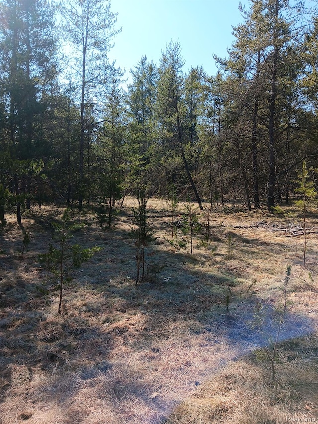 0000 Cedar Creek Rd, Wellston, MI 49689 - photo 5
