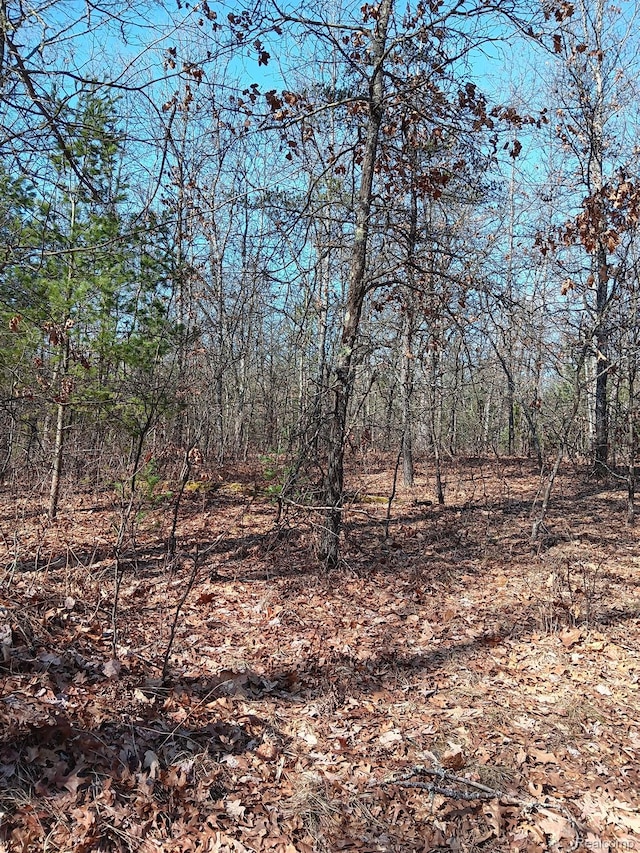 0000 Cedar Creek Rd, Wellston, MI 49689 - photo 13