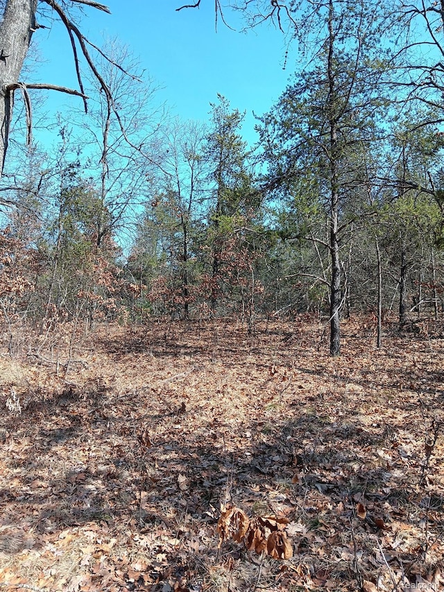 0000 Cedar Creek Rd, Wellston, MI 49689 - photo 8