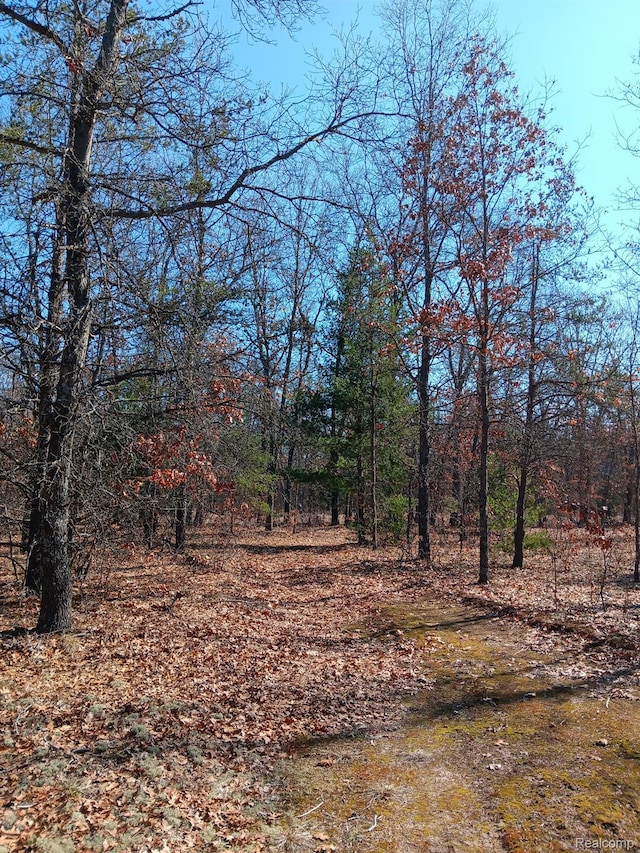 0000 Cedar Creek Rd, Wellston, MI 49689 - photo 1