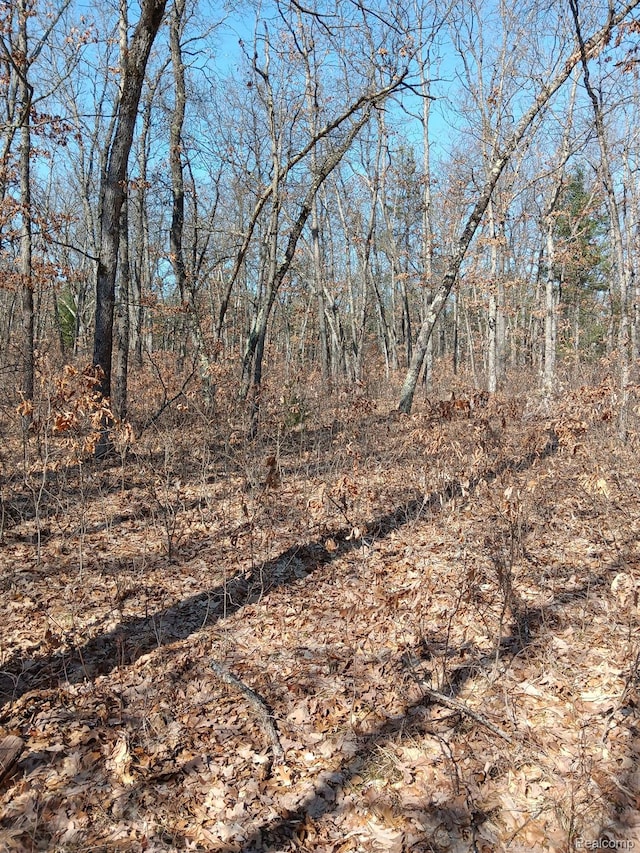 0000 Cedar Creek Rd, Wellston, MI 49689 - photo 9
