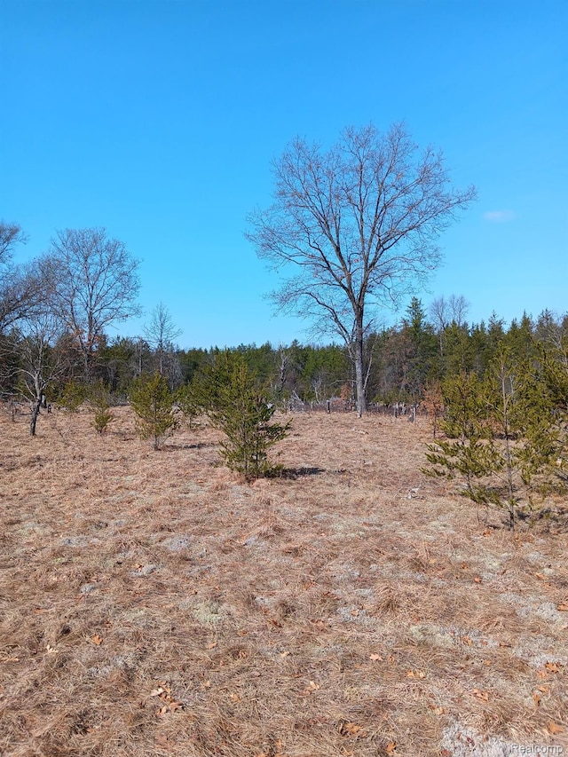 0000 Cedar Creek Rd, Wellston, MI 49689 - photo 2