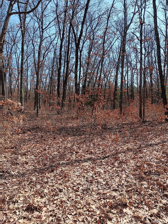 0000 Cedar Creek Rd, Wellston, MI 49689 - photo 10