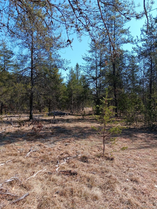 0000 Cedar Creek Rd, Wellston, MI 49689 - photo 6