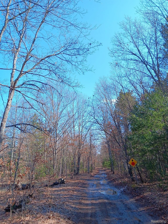 0000 Cedar Creek Rd, Wellston, MI 49689 - photo 14