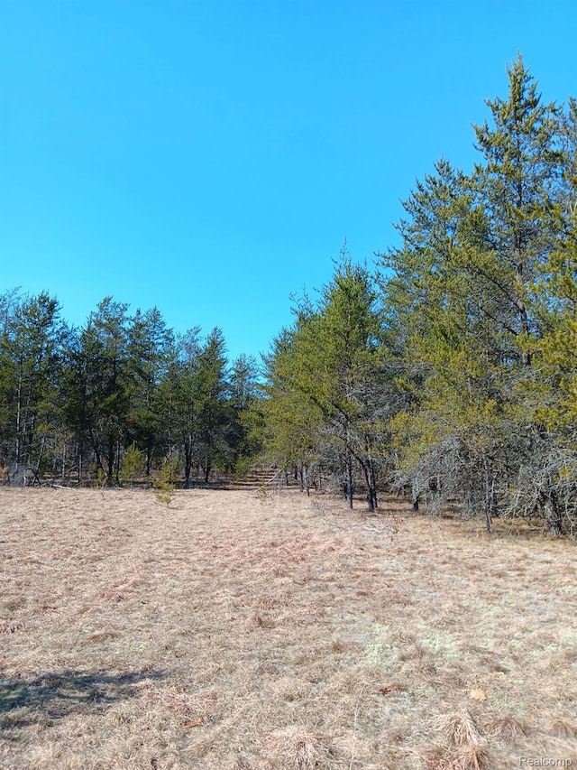 0000 Cedar Creek Rd, Wellston, MI 49689 - photo 4