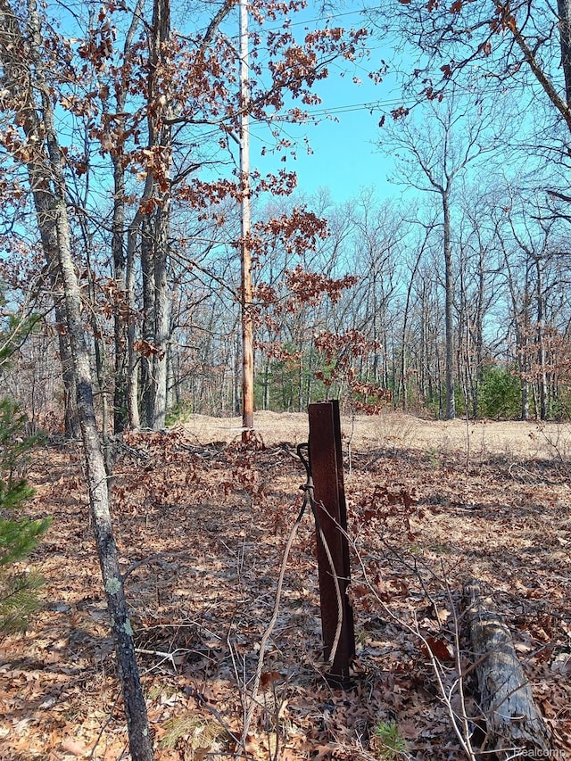 0000 Cedar Creek Rd, Wellston, MI 49689 - photo 12