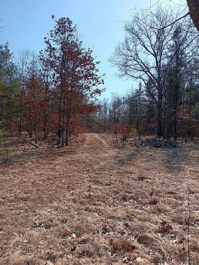 0000 Cedar Creek Rd, Wellston, MI 49689 - photo 3