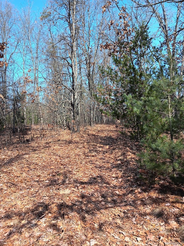 0000 Cedar Creek Rd, Wellston, MI 49689 - photo 11