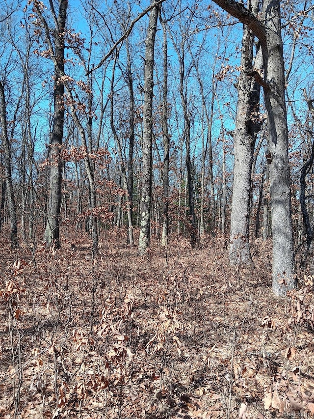 0000 Cedar Creek Rd, Wellston, MI 49689 - photo 7