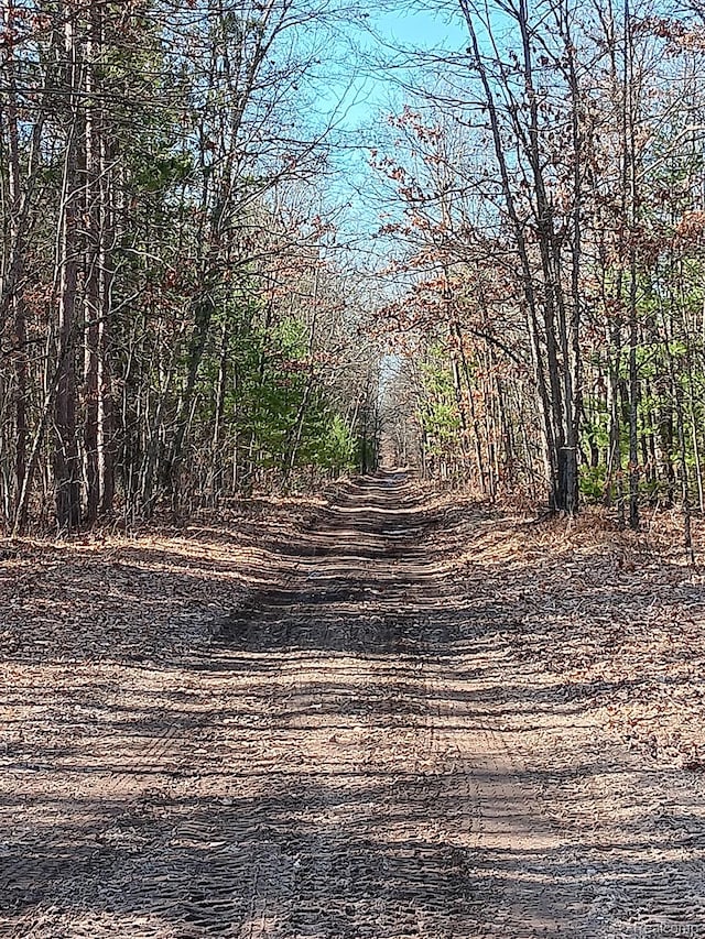 0000 Cedar Creek Rd, Wellston, MI 49689 - photo 15