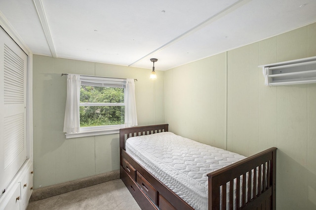 12020 Wise St, Bear Lake, MI 49614 - photo 10
