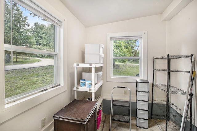 12020 Wise St, Bear Lake, MI 49614 - photo 11