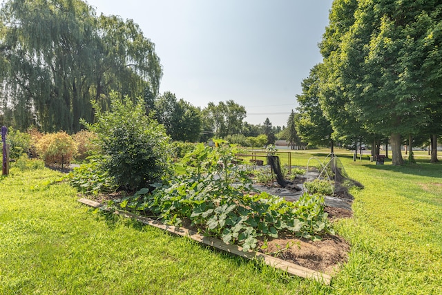 8799 Martz Rd, Ypsilanti, MI 48197 - photo 68