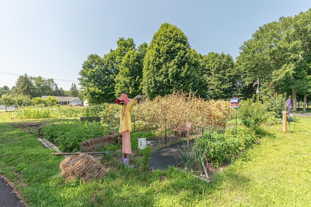 8799 Martz Rd, Ypsilanti, MI 48197 - photo 69