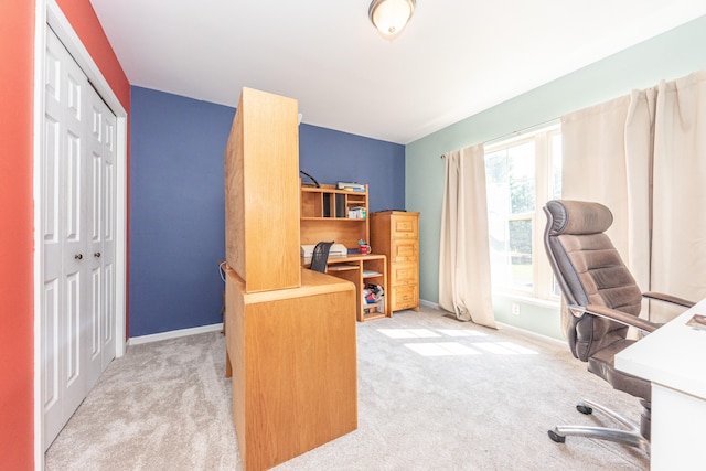 8799 Martz Rd, Ypsilanti, MI 48197 - photo 50