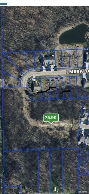 00 Emeraldwood Trl, Flushing, MI 48433 - photo 3